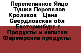 Перепелинное Яйцо.Тушки Перепелов,Кроликов › Цена ­ 4 - Свердловская обл., Екатеринбург г. Продукты и напитки » Фермерские продукты   . Свердловская обл.,Екатеринбург г.